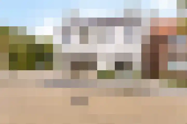 Korte Omgang 1 Bant