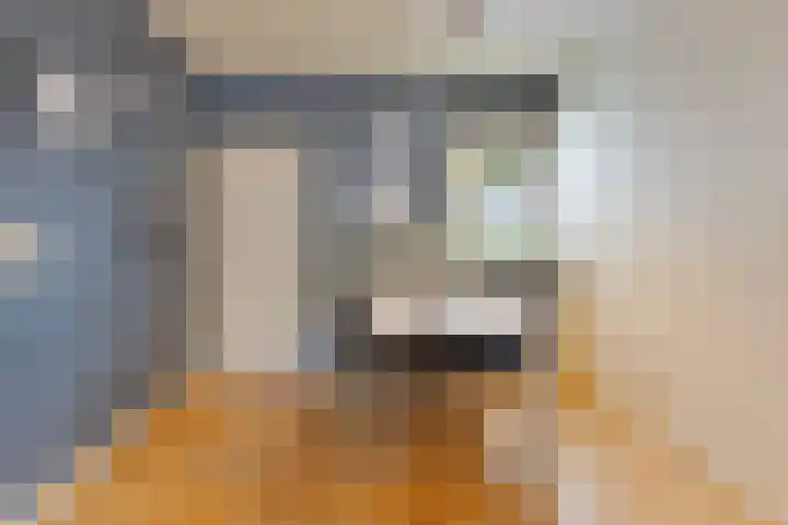 Korte Omgang 1 Bant thumbnail 11