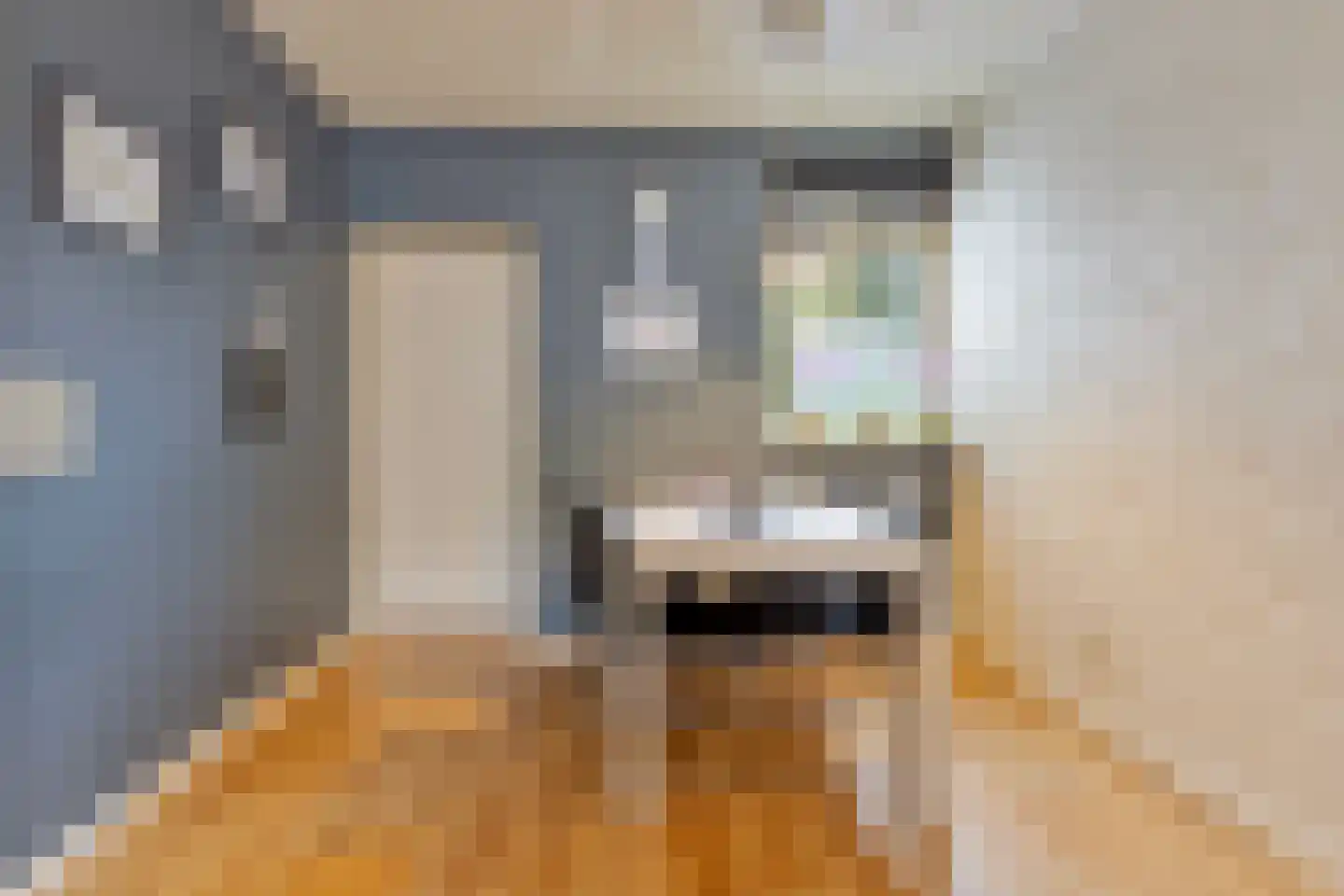Korte Omgang 1 Bant thumbnail 11