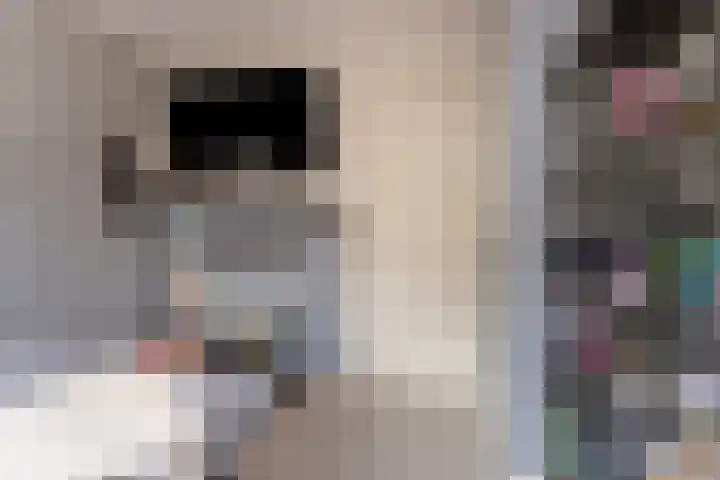 Korte Omgang 1 Bant thumbnail 19
