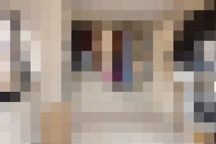 Korte Omgang 1 Bant thumbnail 23