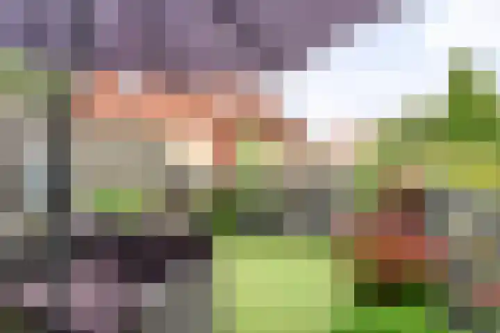 Korte Omgang 1 Bant thumbnail 29
