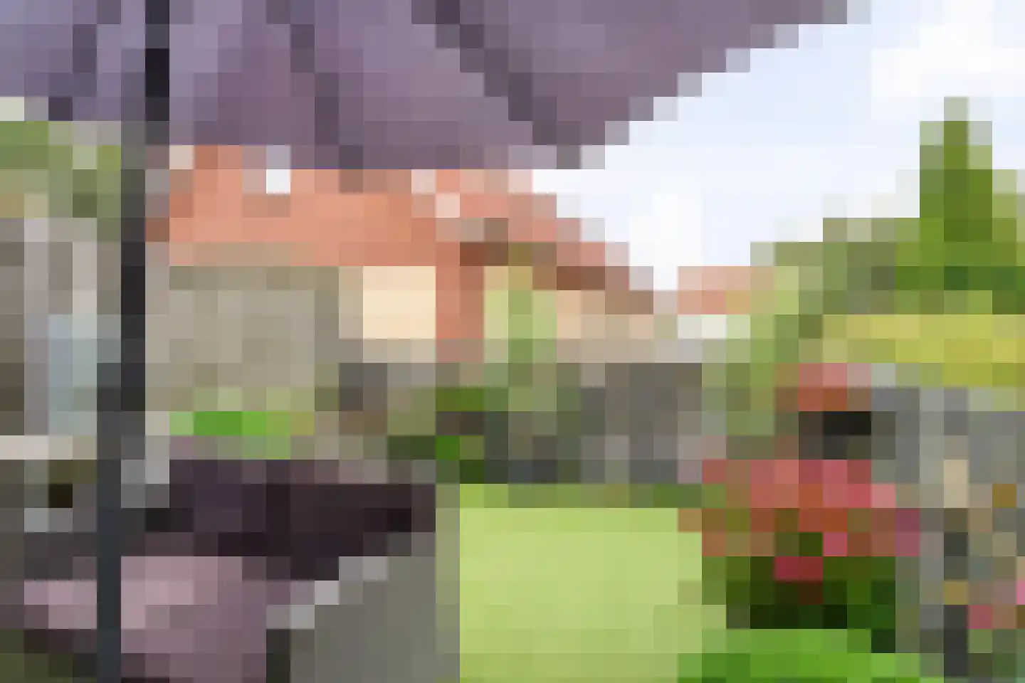 Korte Omgang 1 Bant thumbnail 29