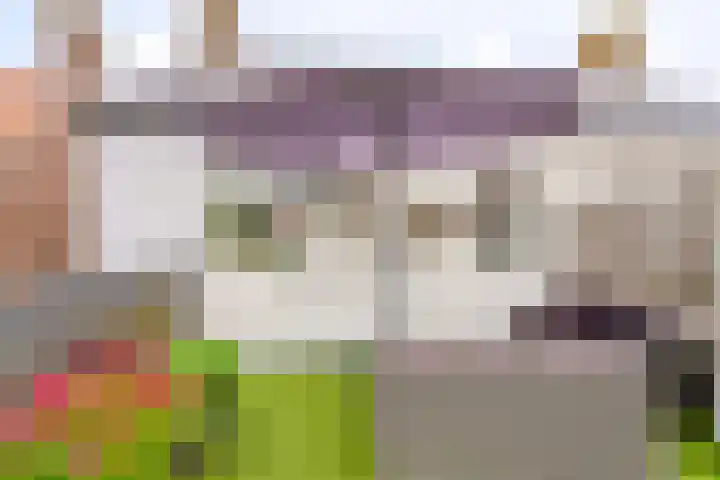 Korte Omgang 1 Bant thumbnail 30