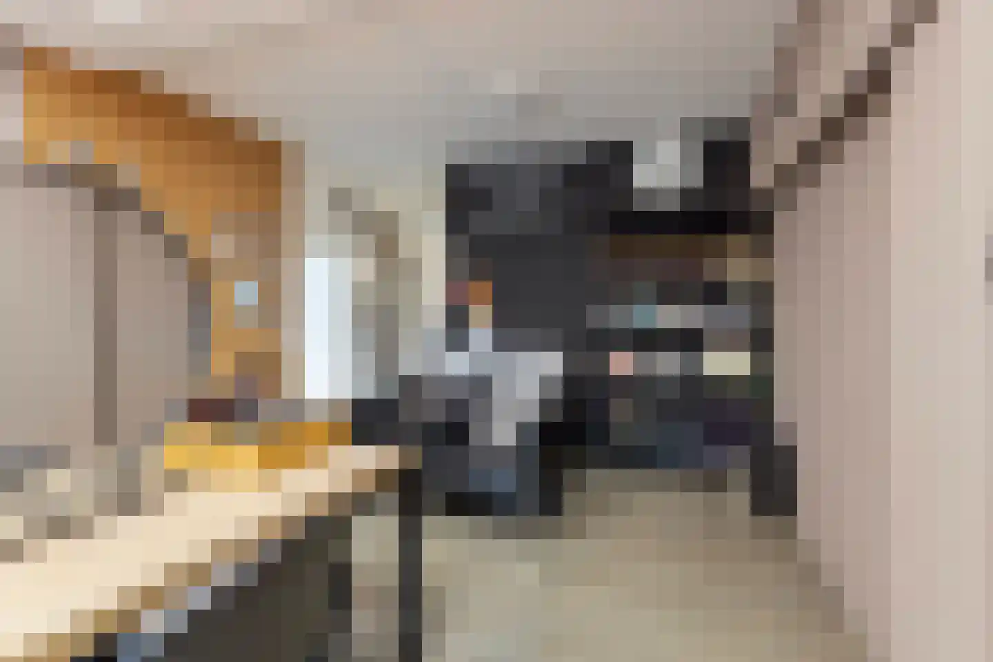 Korte Omgang 1 Bant thumbnail 35