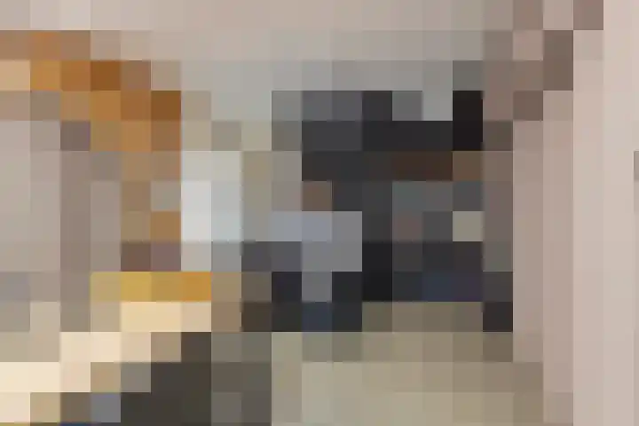 Korte Omgang 1 Bant thumbnail 35