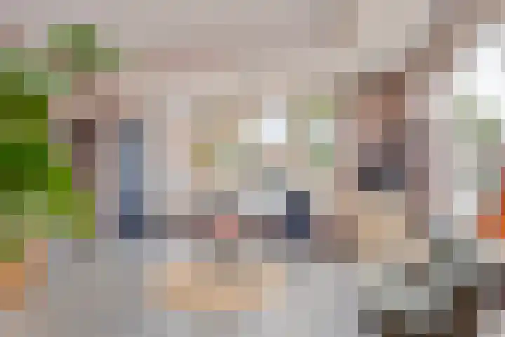 Korte Omgang 1 Bant thumbnail 37