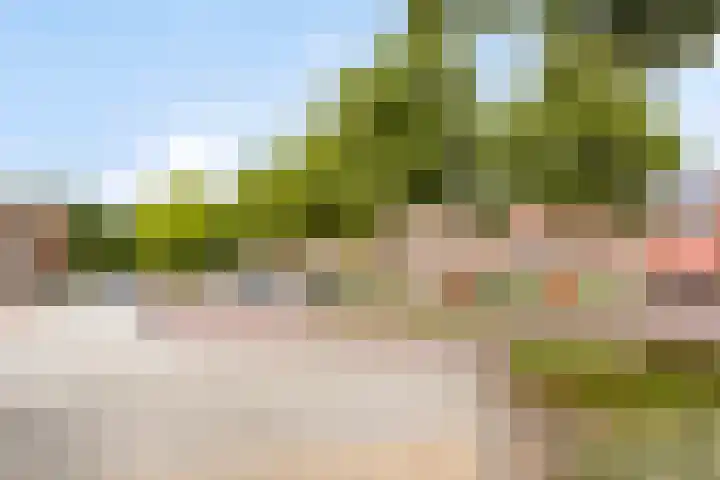 Korte Omgang 1 Bant thumbnail 43