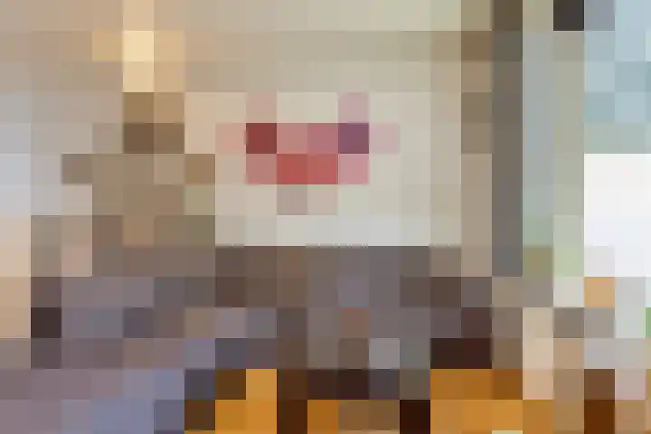 Korte Omgang 1 Bant thumbnail 7
