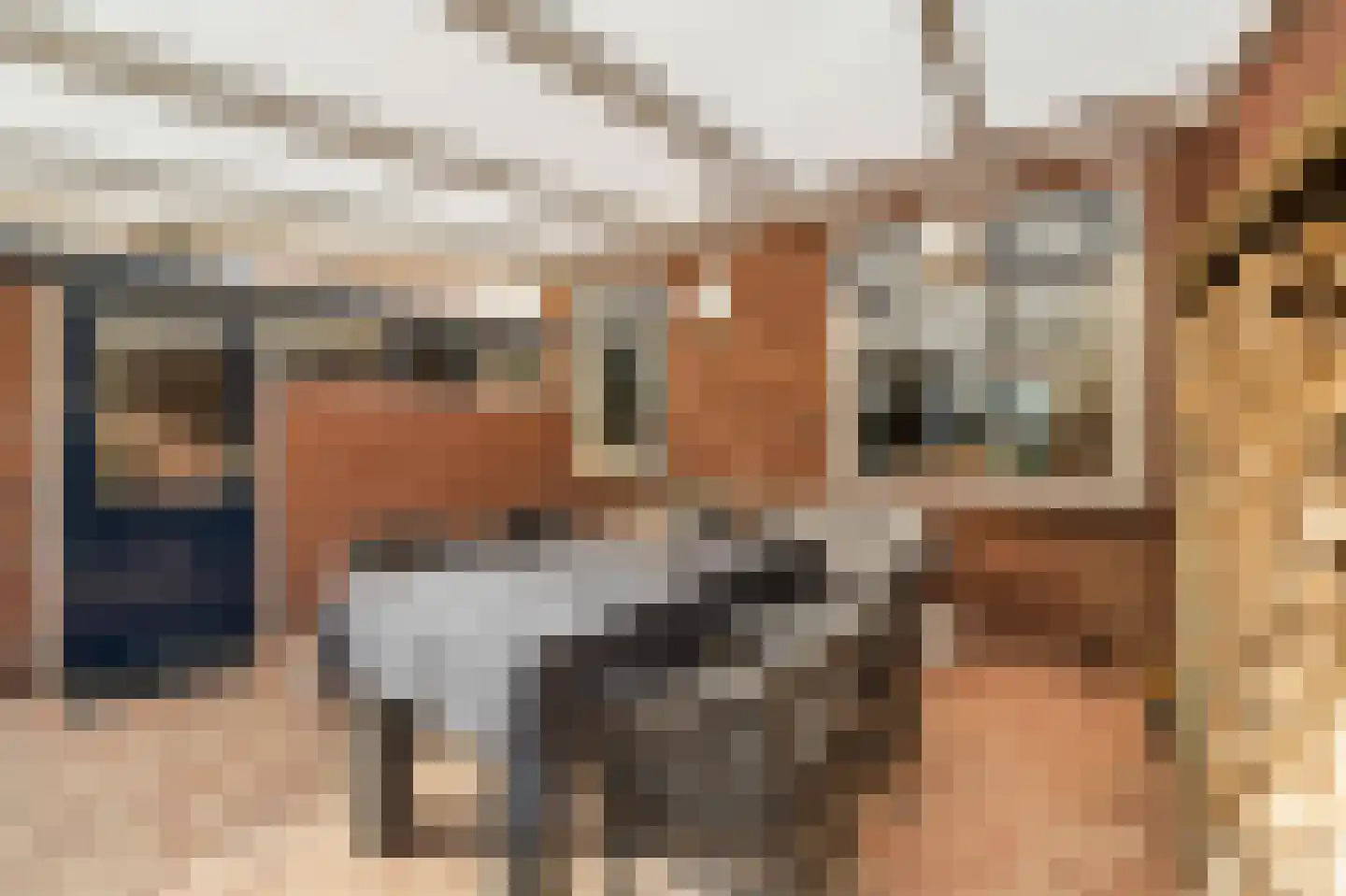 Korte Omgang 5 Bant thumbnail 27