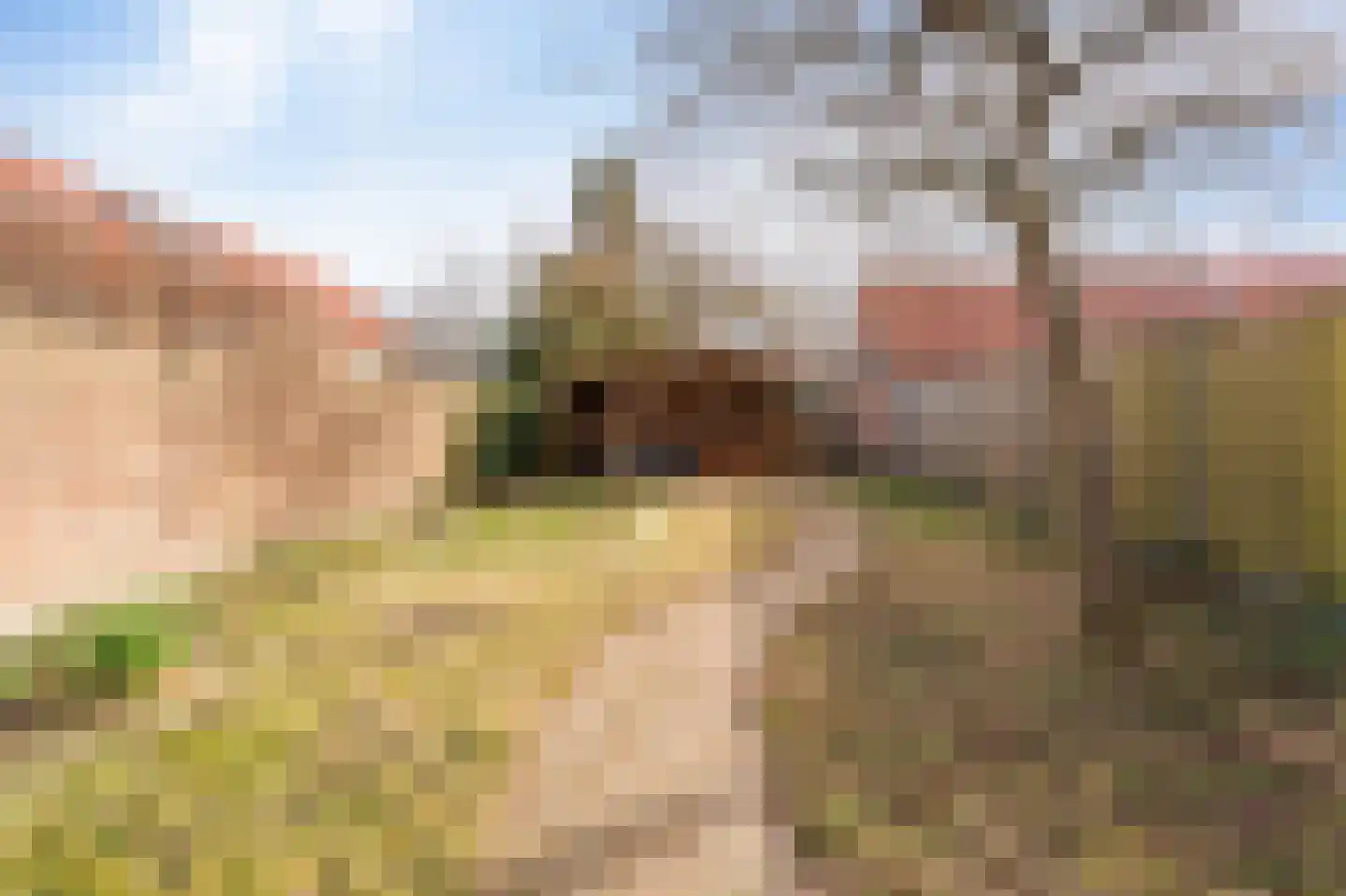 Korte Omgang 5 Bant thumbnail 28