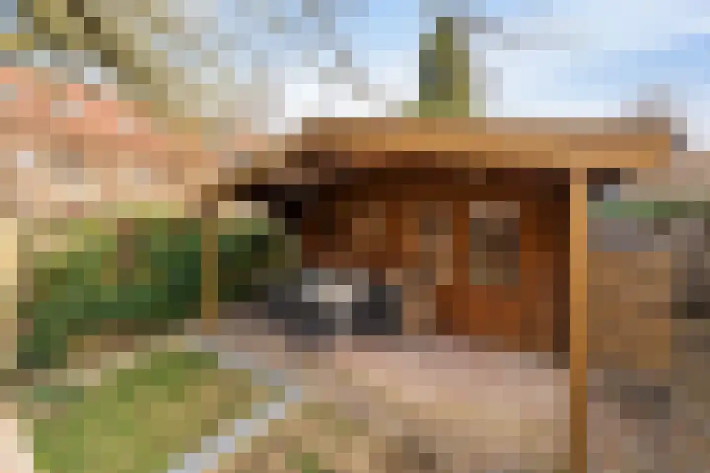 Korte Omgang 5 Bant thumbnail 29