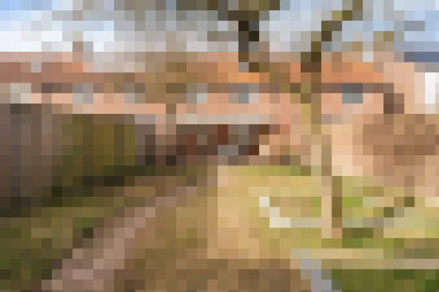 Korte Omgang 5 Bant thumbnail 31