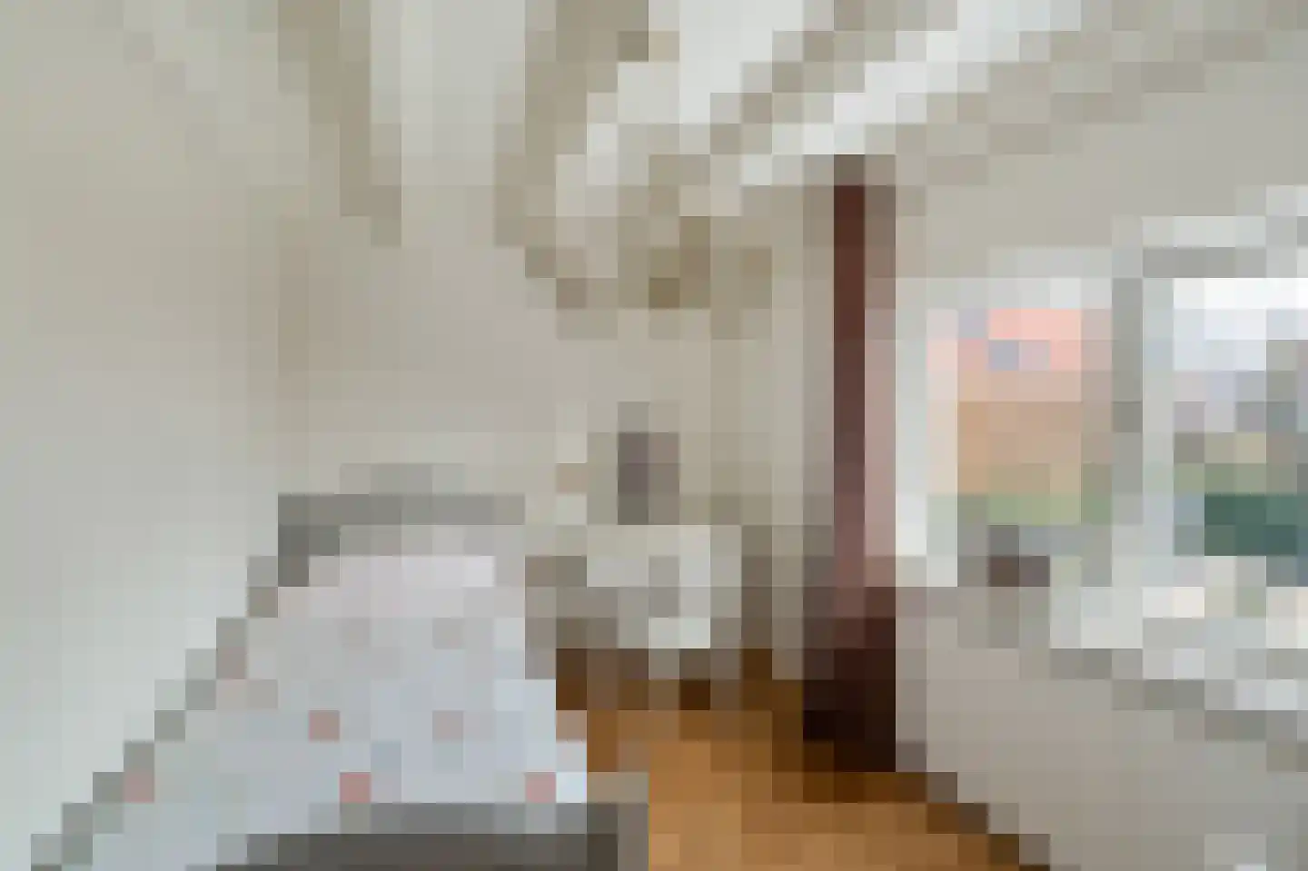 Korte Omgang 5 Bant thumbnail 37