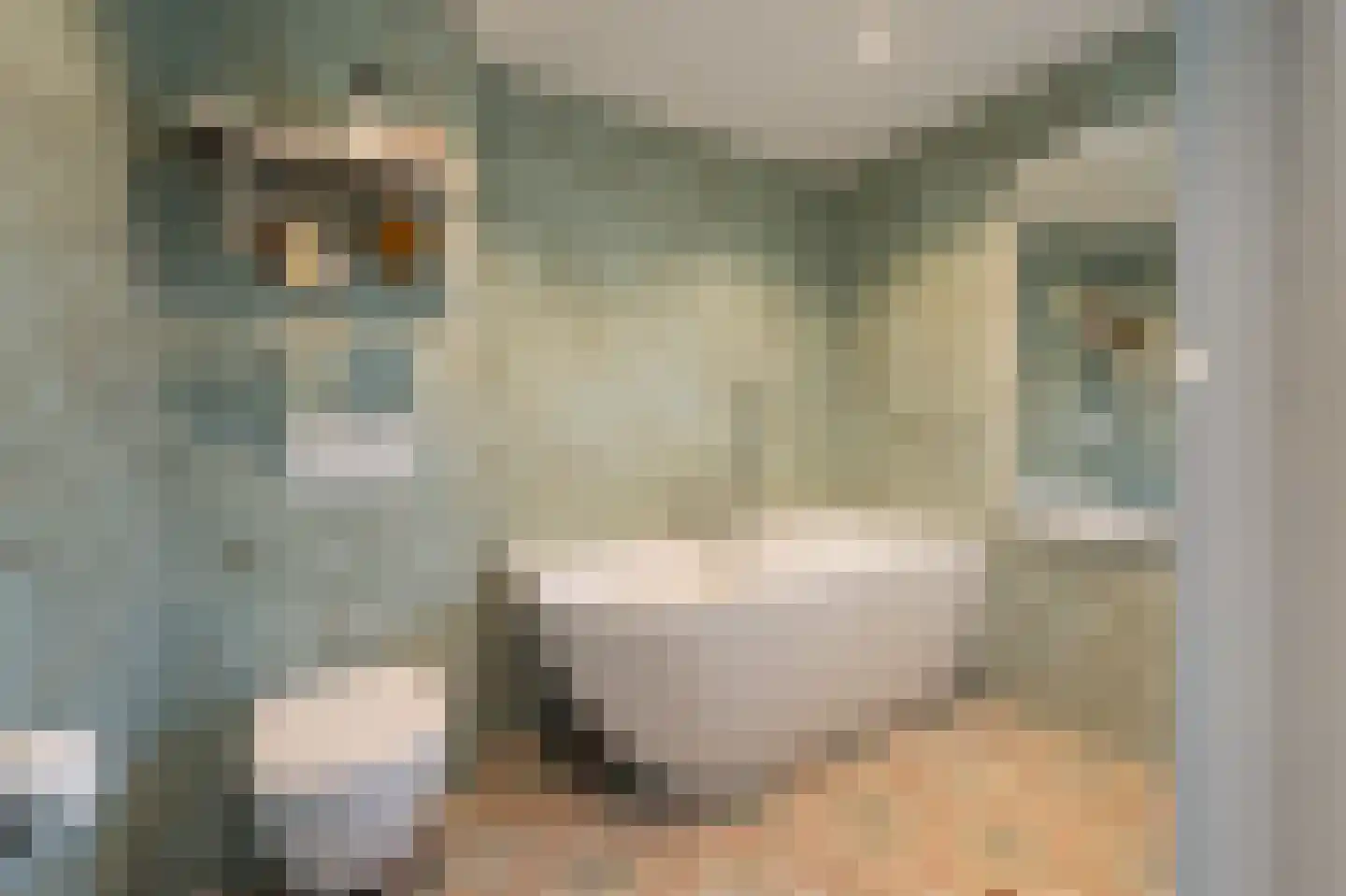 Korte Omgang 5 Bant thumbnail 44