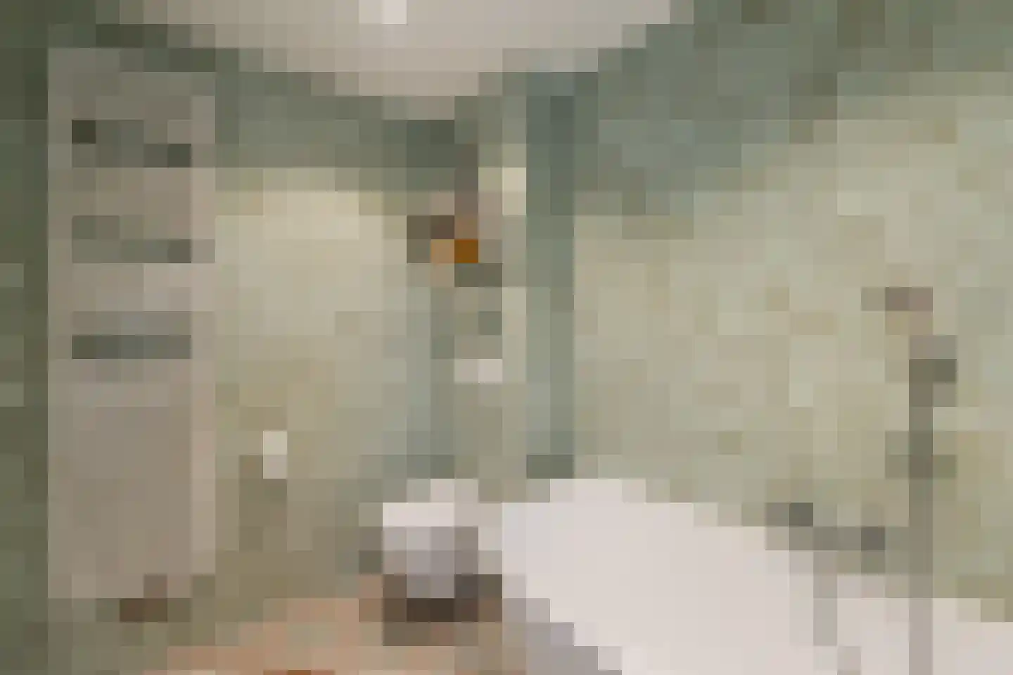 Korte Omgang 5 Bant thumbnail 46