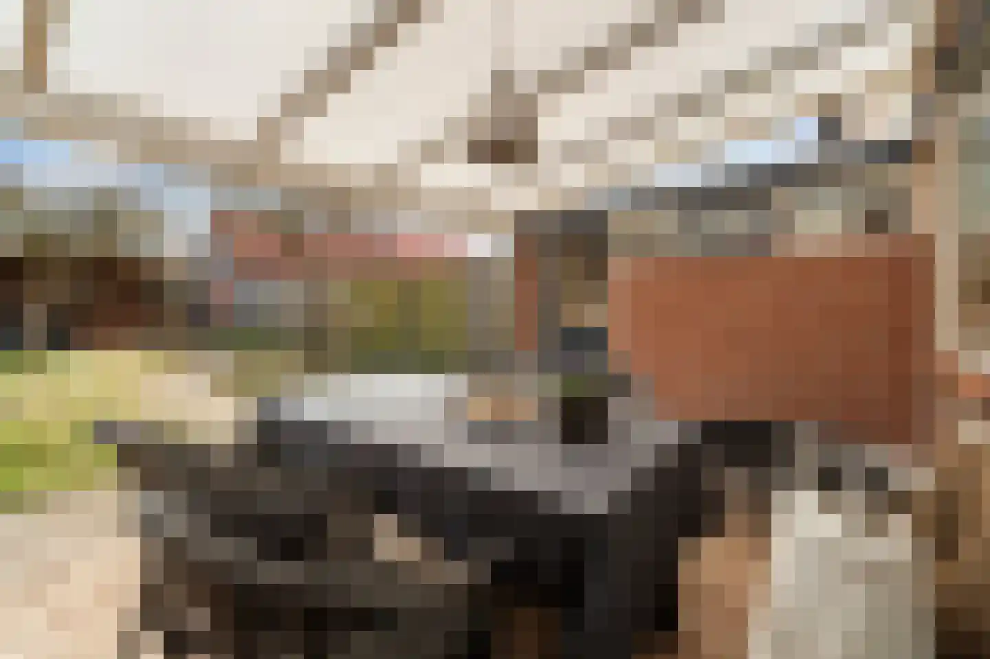 Korte Omgang 5 Bant thumbnail 5