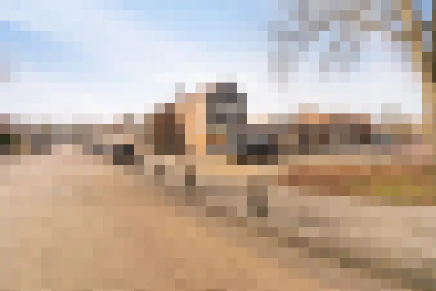 Korte Omgang 5 Bant thumbnail 8