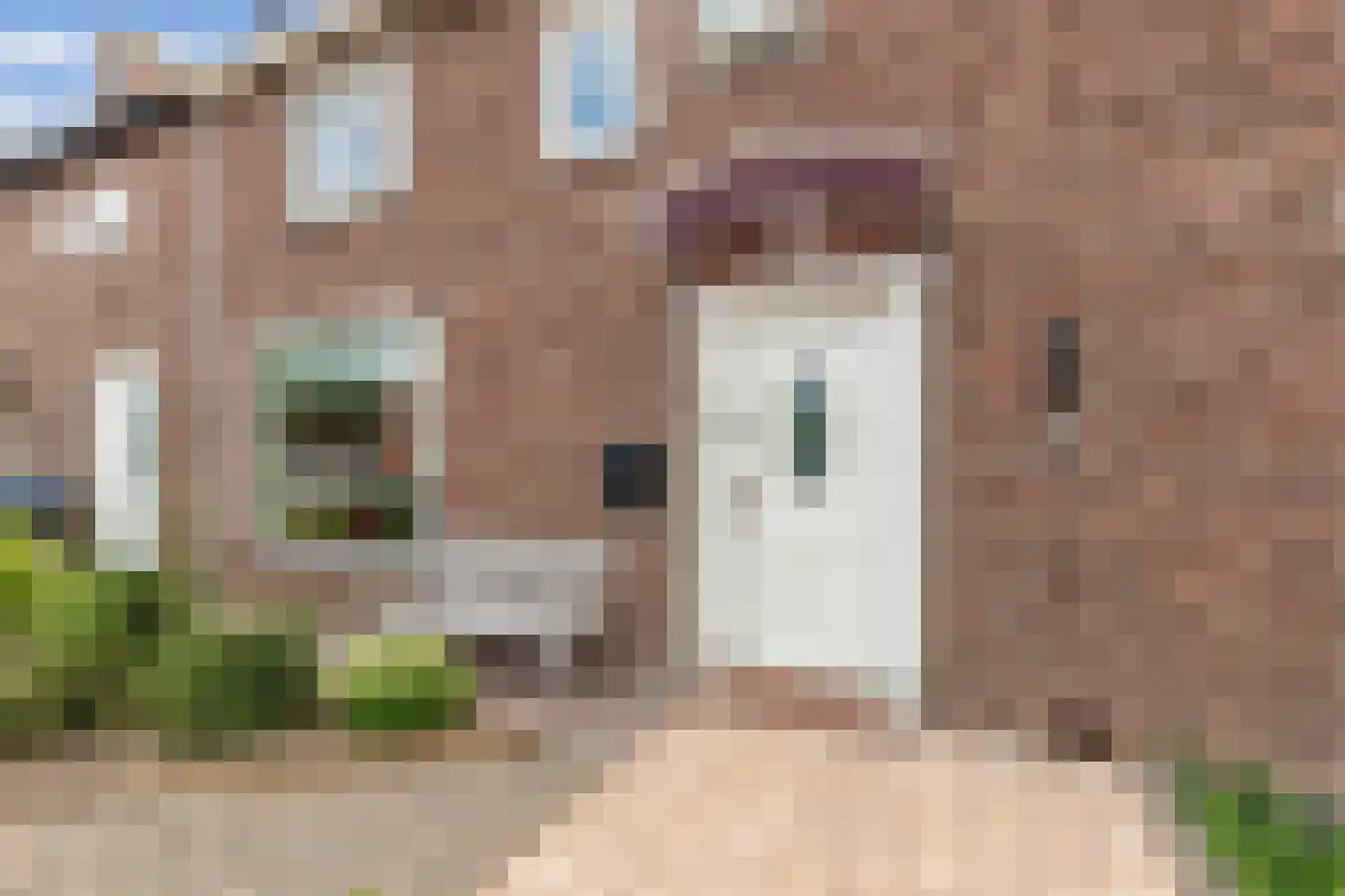 Korte Omgang 9 Bant thumbnail 11