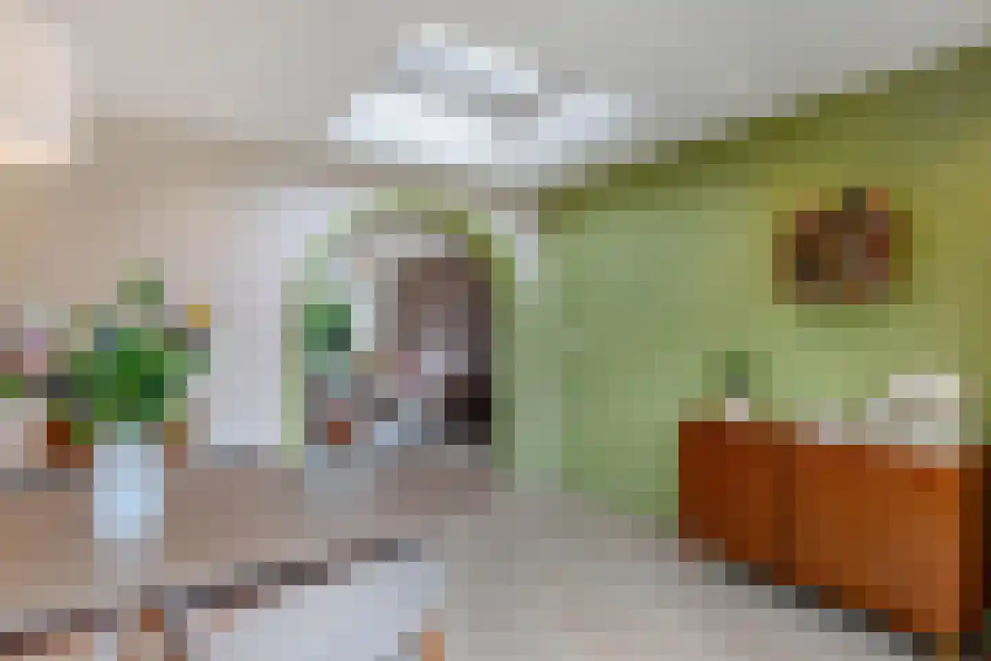 Korte Omgang 9 Bant thumbnail 21