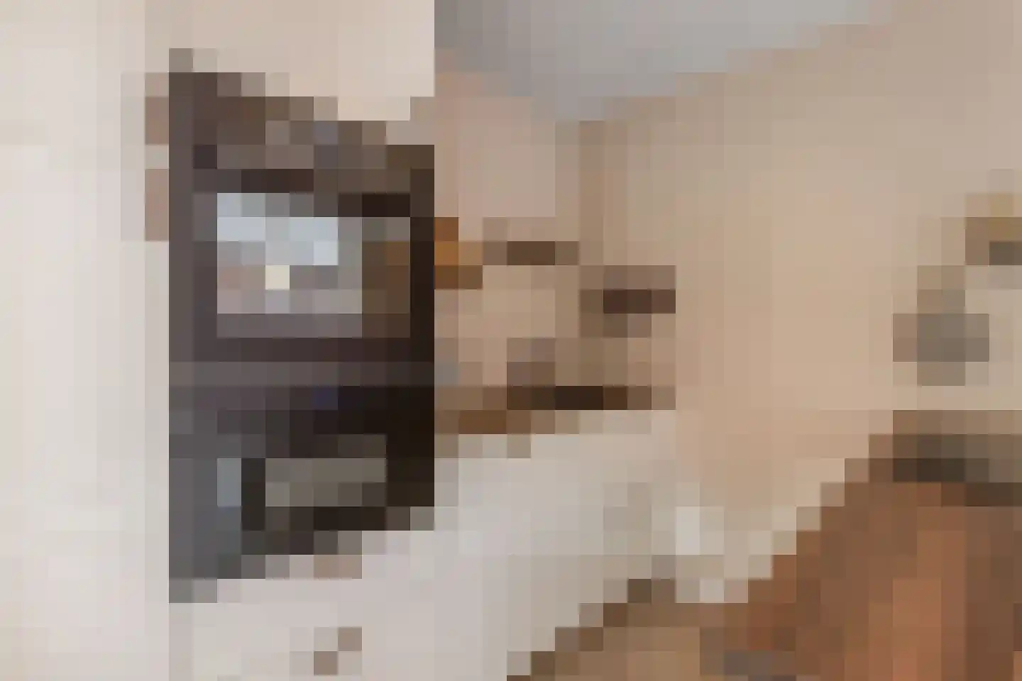 Korte Omgang 9 Bant thumbnail 23