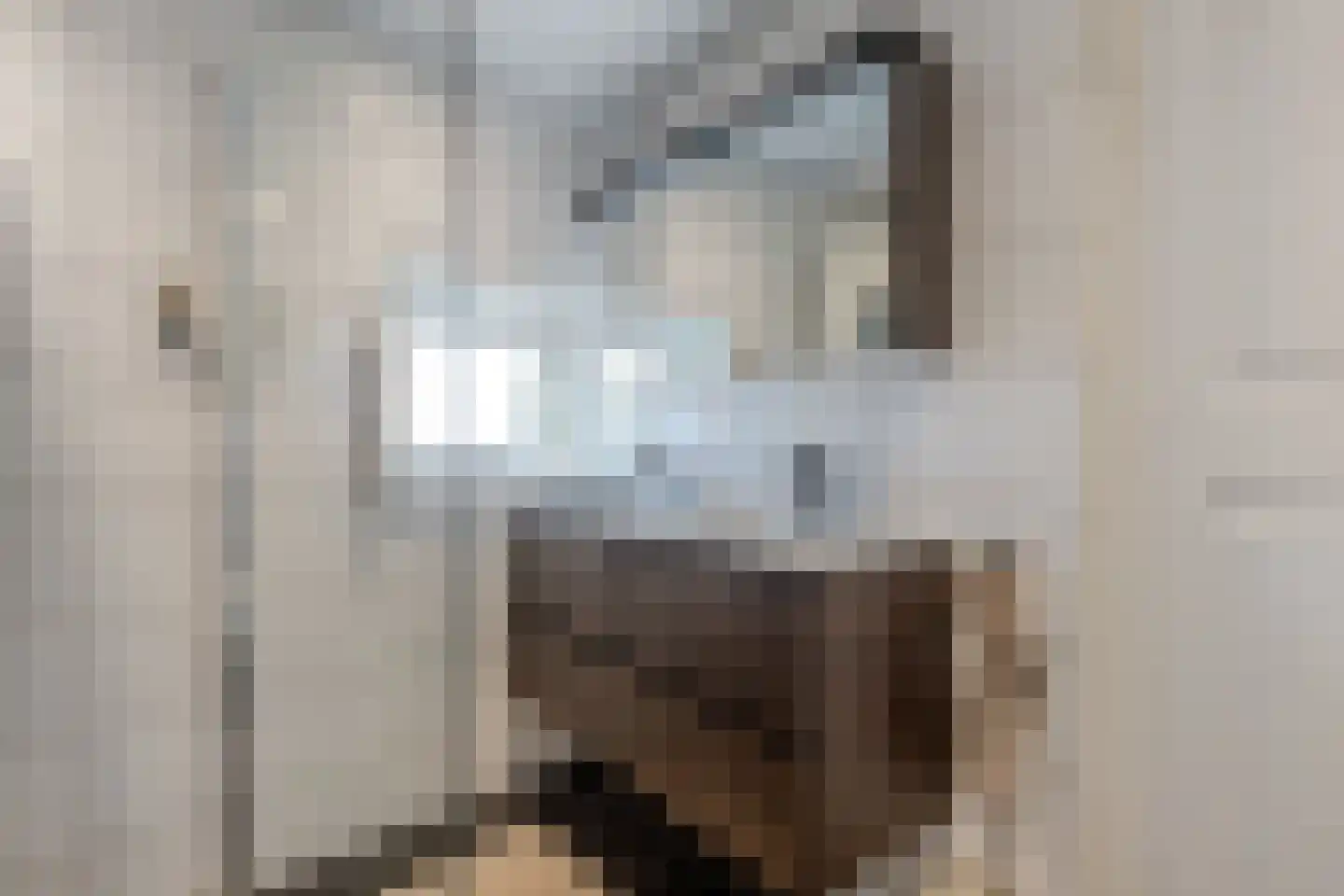 Korte Omgang 9 Bant thumbnail 33