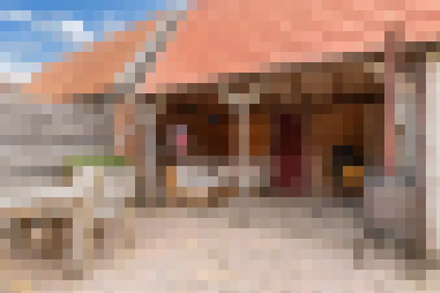 Korte Omgang 9 Bant thumbnail 43