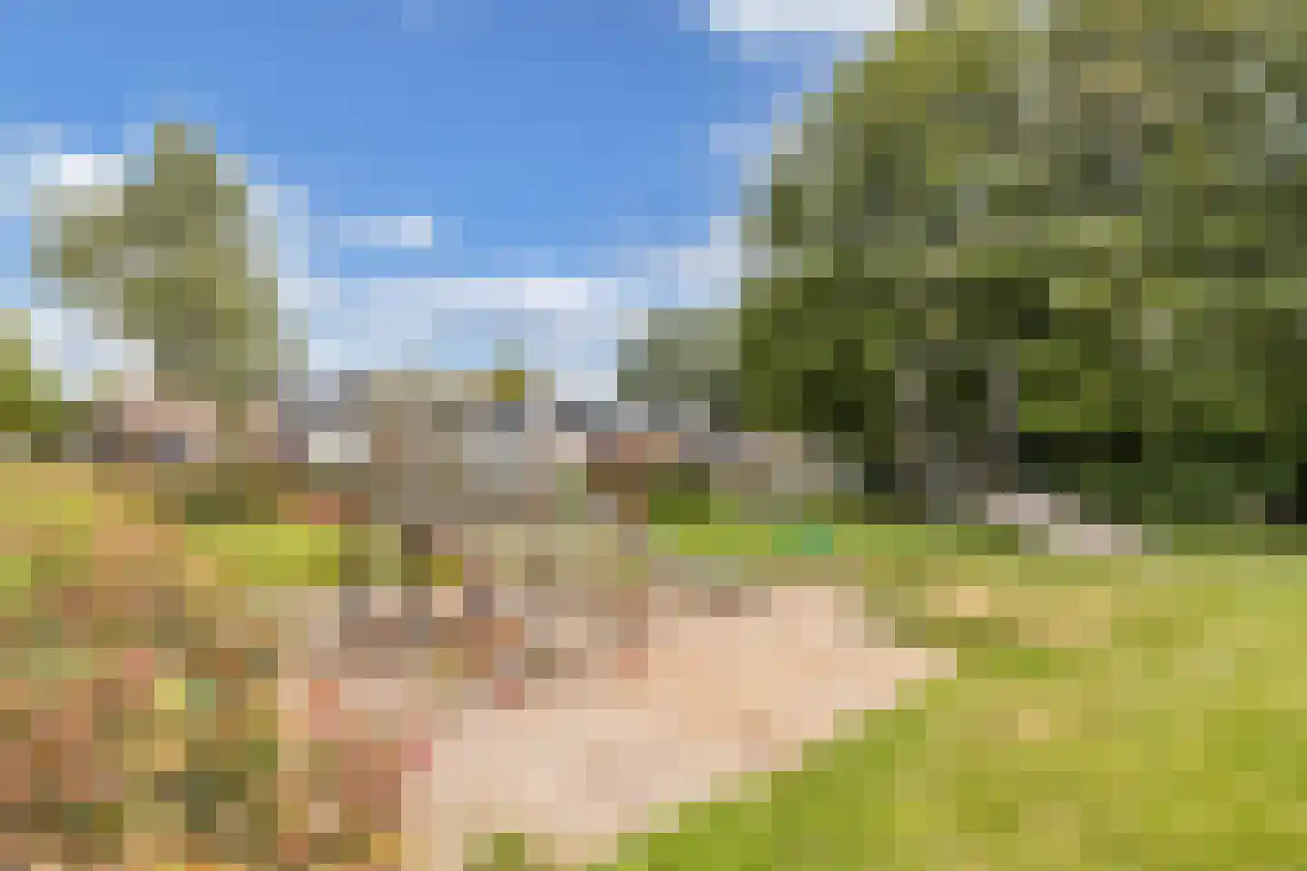 Korte Omgang 9 Bant thumbnail 44