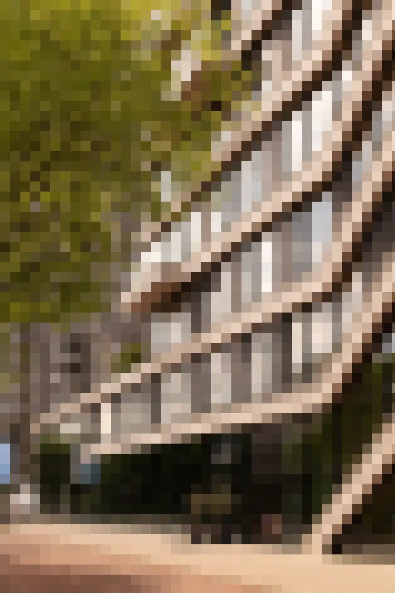 Korte Ouderkerkerdijk 1 A 1 Amsterdam thumbnail 8