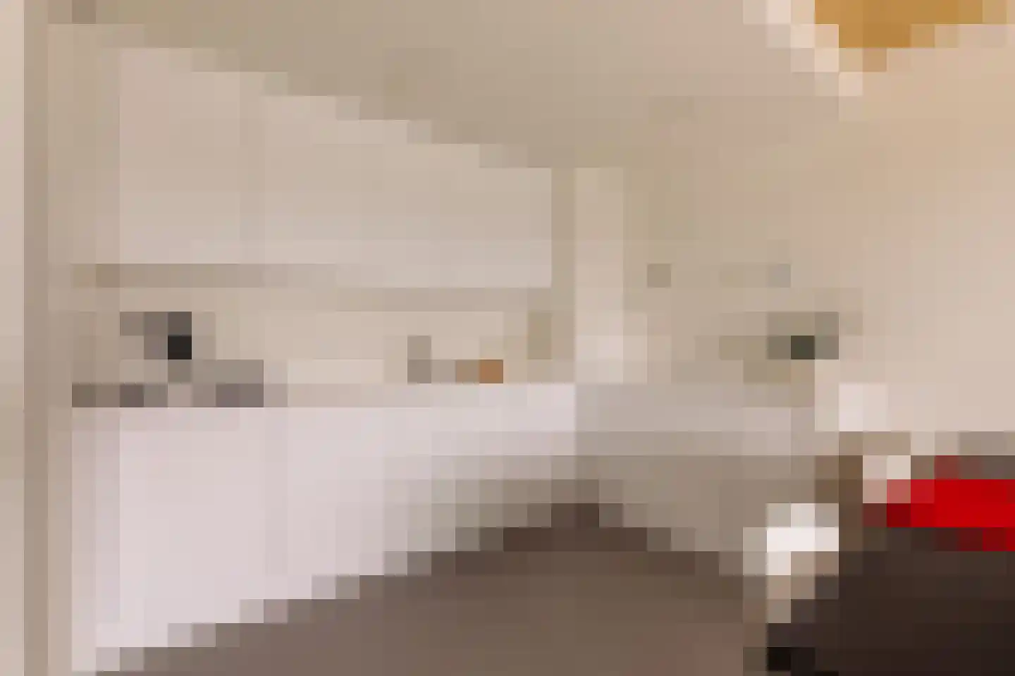 Korte Ouderkerkerdijk 1 F 2 Amsterdam thumbnail 10