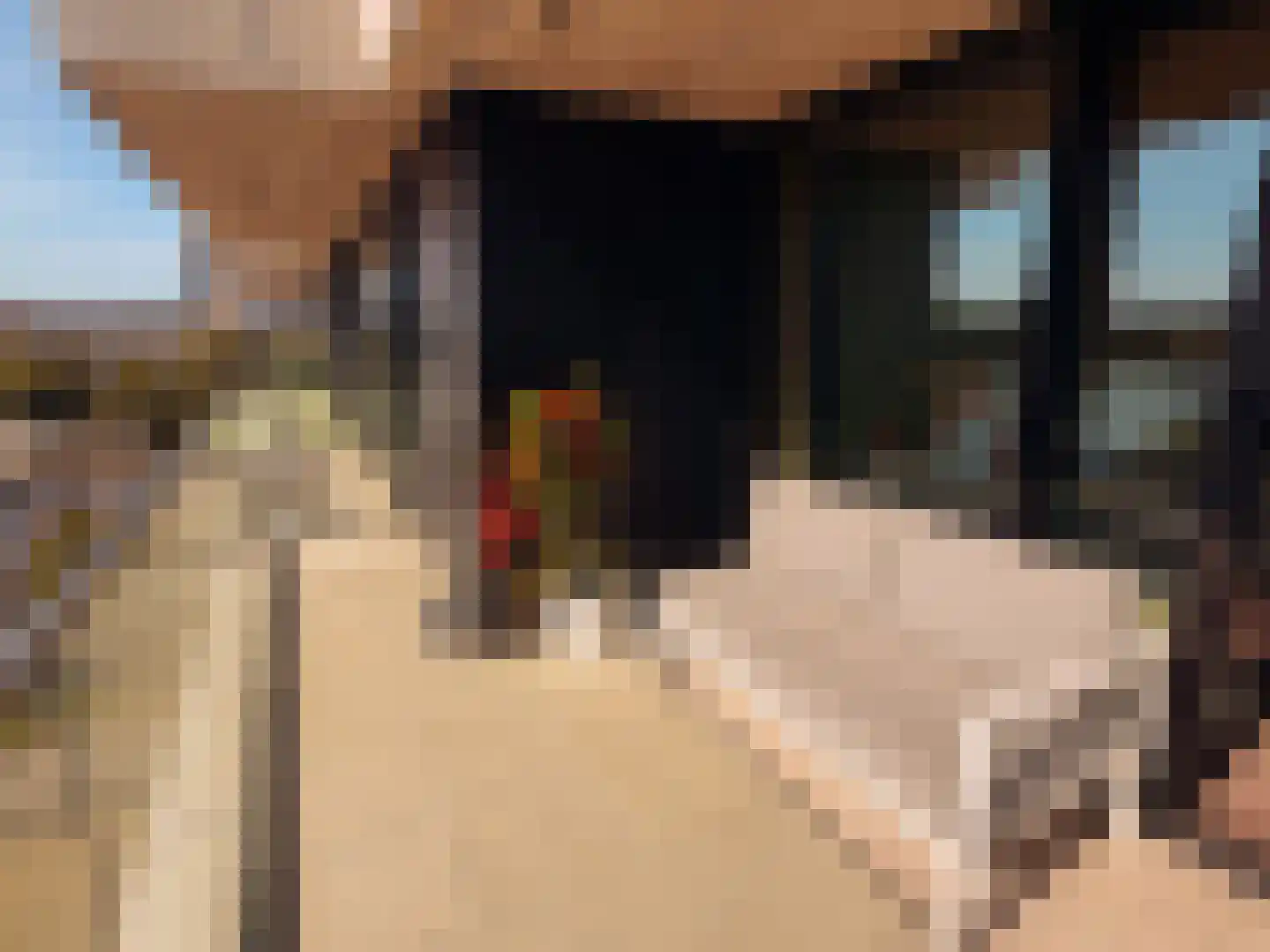 Korte Ouderkerkerdijk 1 F 2 Amsterdam thumbnail 16