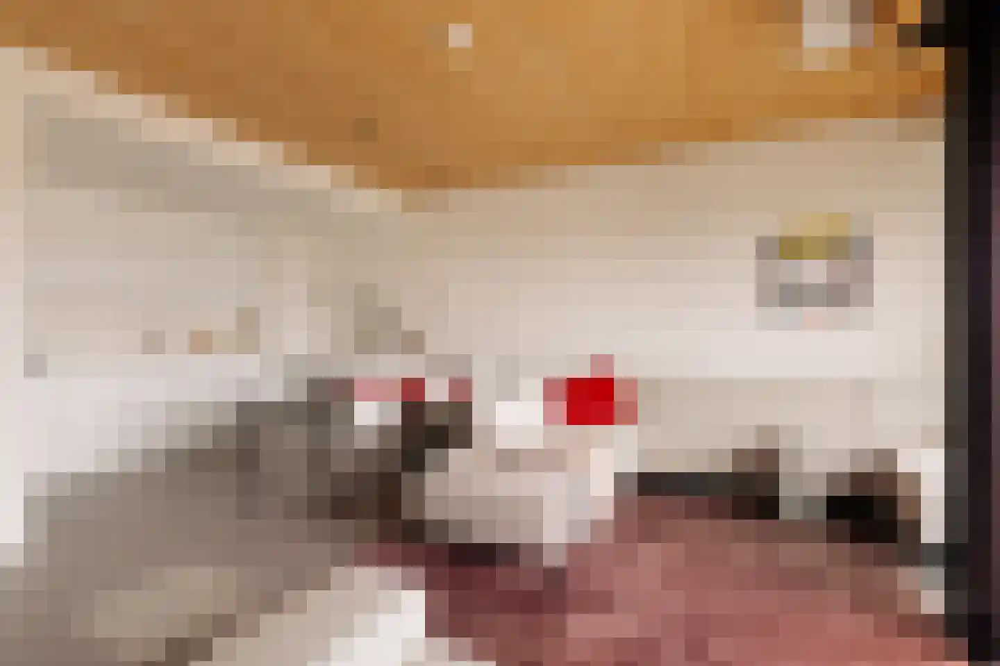 Korte Ouderkerkerdijk 1 F 2 Amsterdam thumbnail 9