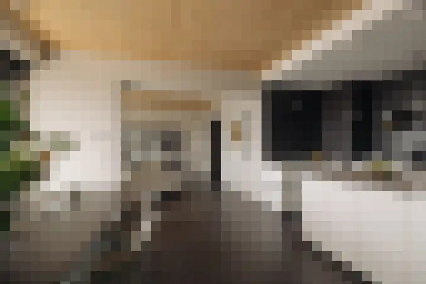 Korte Ouderkerkerdijk 1 P 2 Amsterdam thumbnail 13