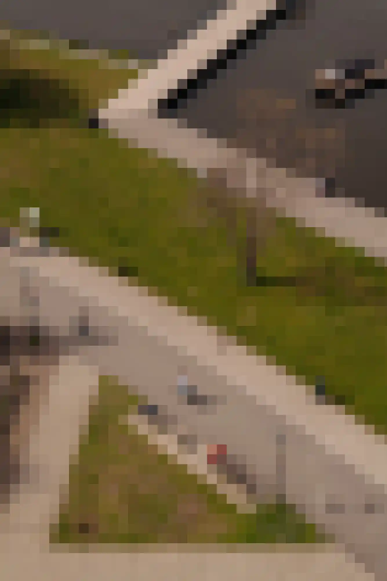 Korte Ouderkerkerdijk 1 P 2 Amsterdam thumbnail 35
