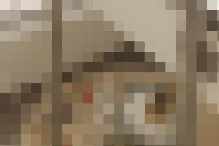 Korte Ouderkerkerdijk 5 L Amsterdam thumbnail 13