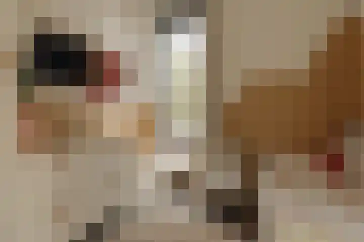 Korte Ouderkerkerdijk 5 L Amsterdam thumbnail 27
