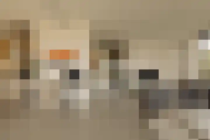 Korte Ouderkerkerdijk 5 L Amsterdam thumbnail 7