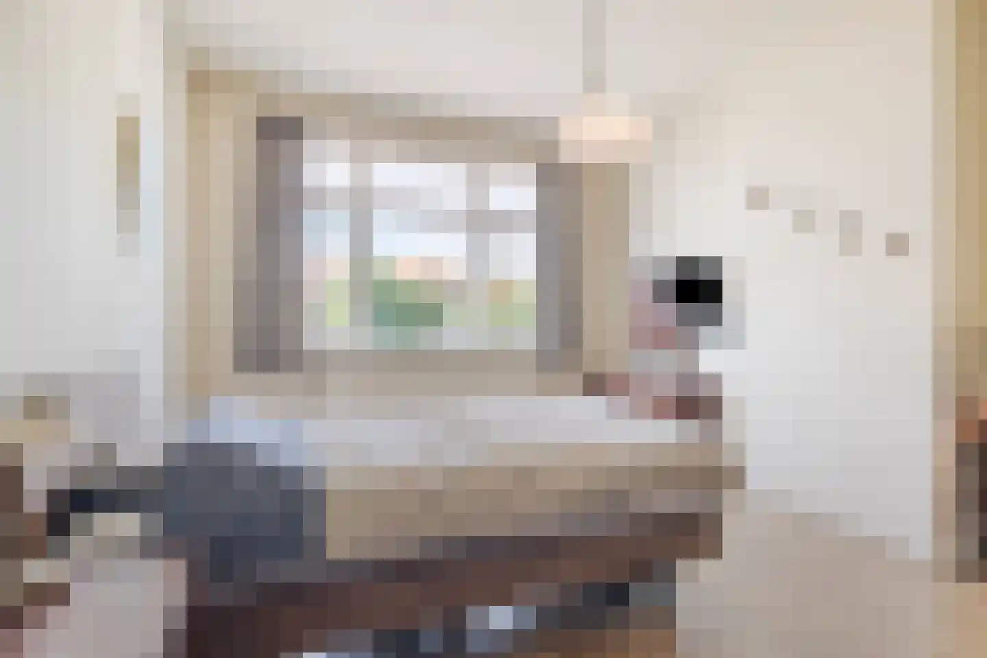 Korte Parkstraat 18 Bergen op Zoom thumbnail 26
