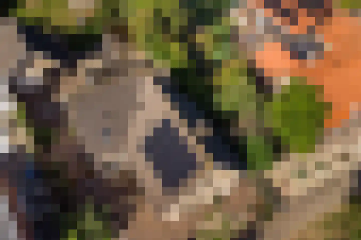 Korte Pas 17 Wijchen thumbnail 10