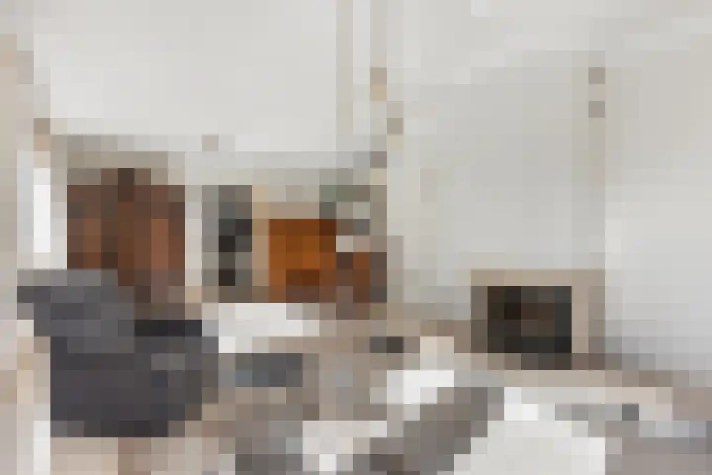 Korte Pas 17 Wijchen thumbnail 12