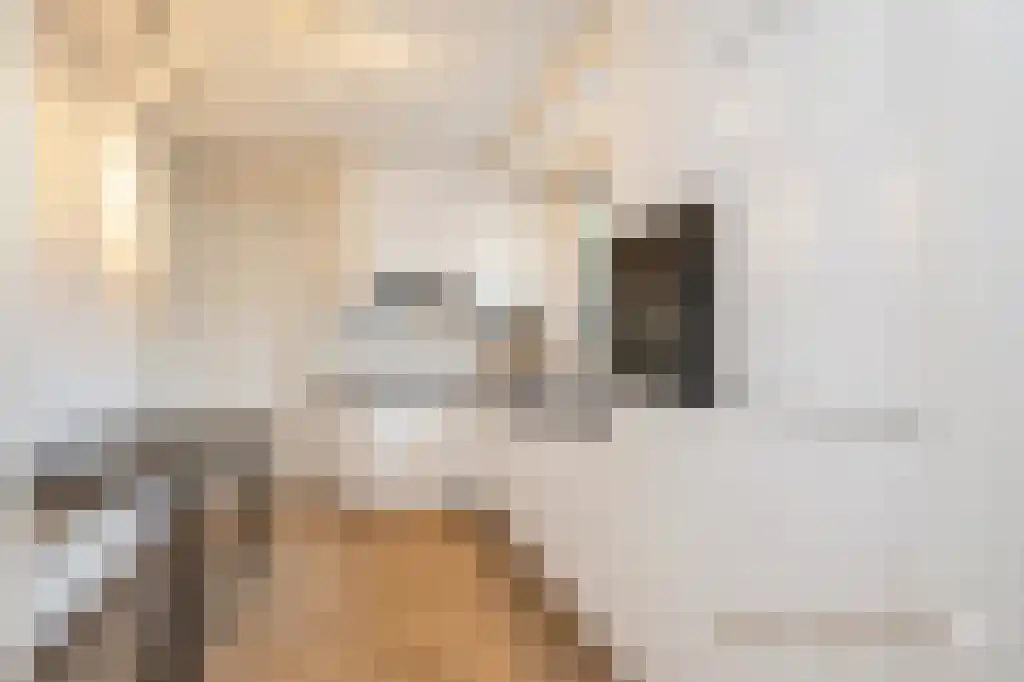 Korte Pas 17 Wijchen thumbnail 13