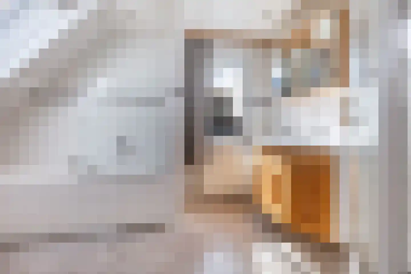 Korte Pas 17 Wijchen thumbnail 24