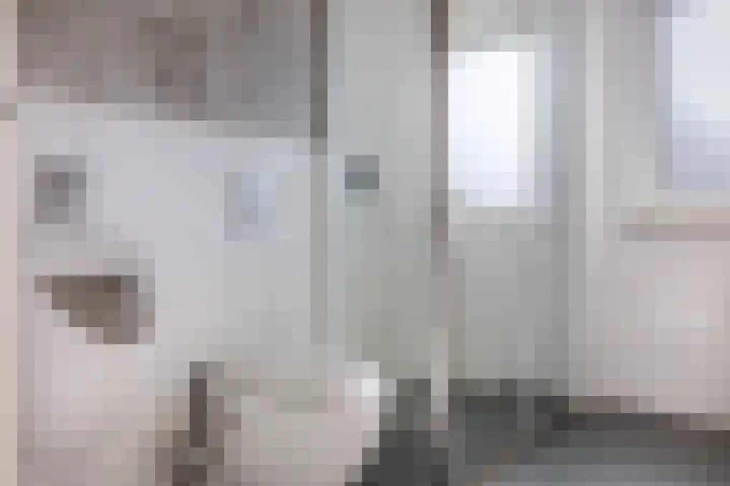 Korte Pas 17 Wijchen thumbnail 36