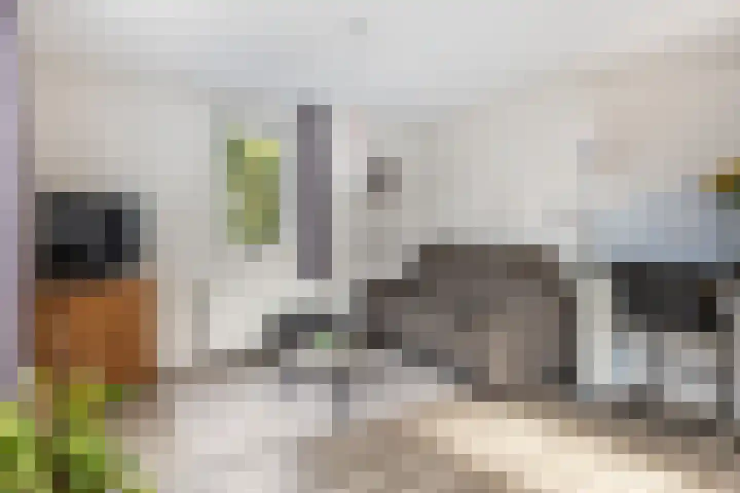 Korte Pas 17 Wijchen thumbnail 45