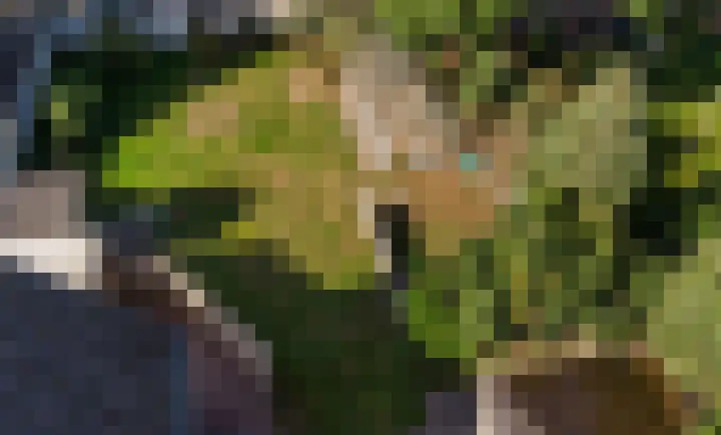 Korte Pas 17 Wijchen thumbnail 9