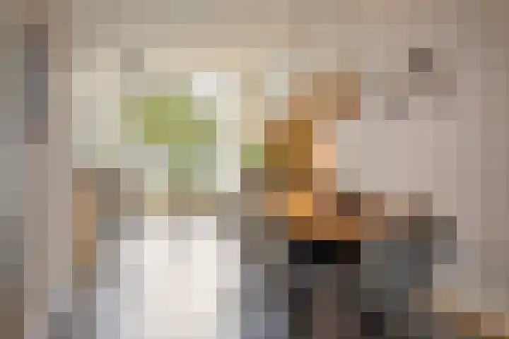 Korte Pas 8 A Wijchen thumbnail 6