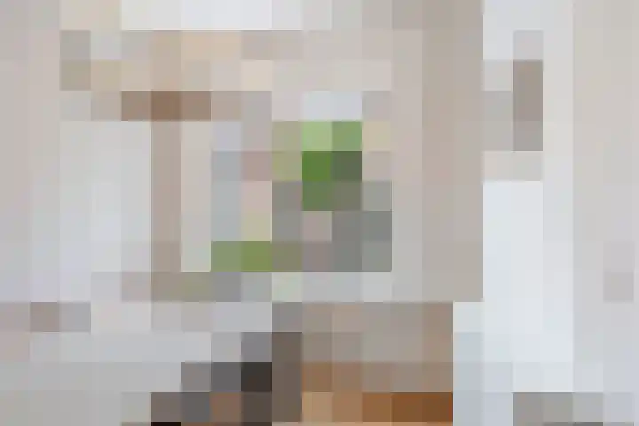 Korte Poellaan 25 B Haarlem thumbnail 4