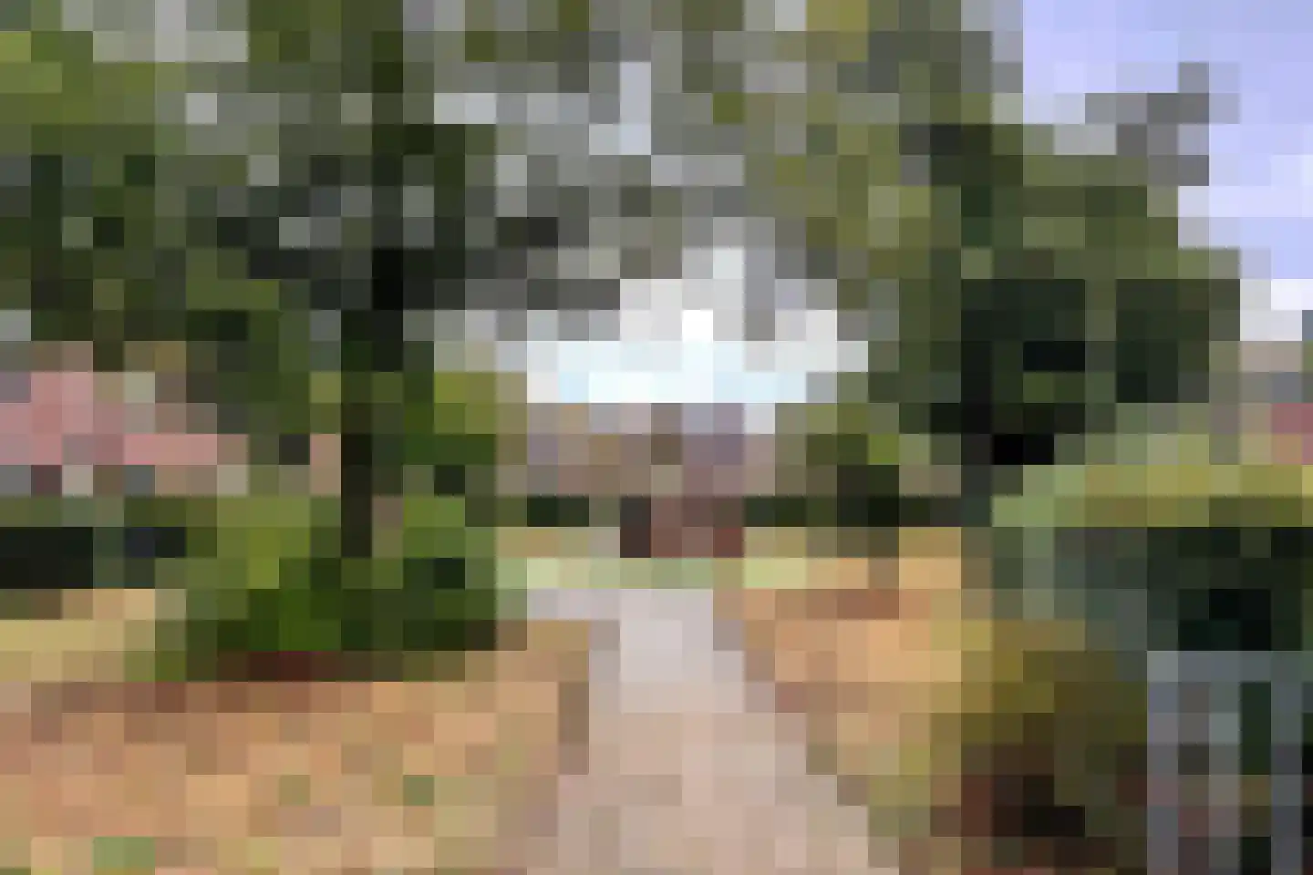 Korte Poellaan 6 Haarlem thumbnail 25