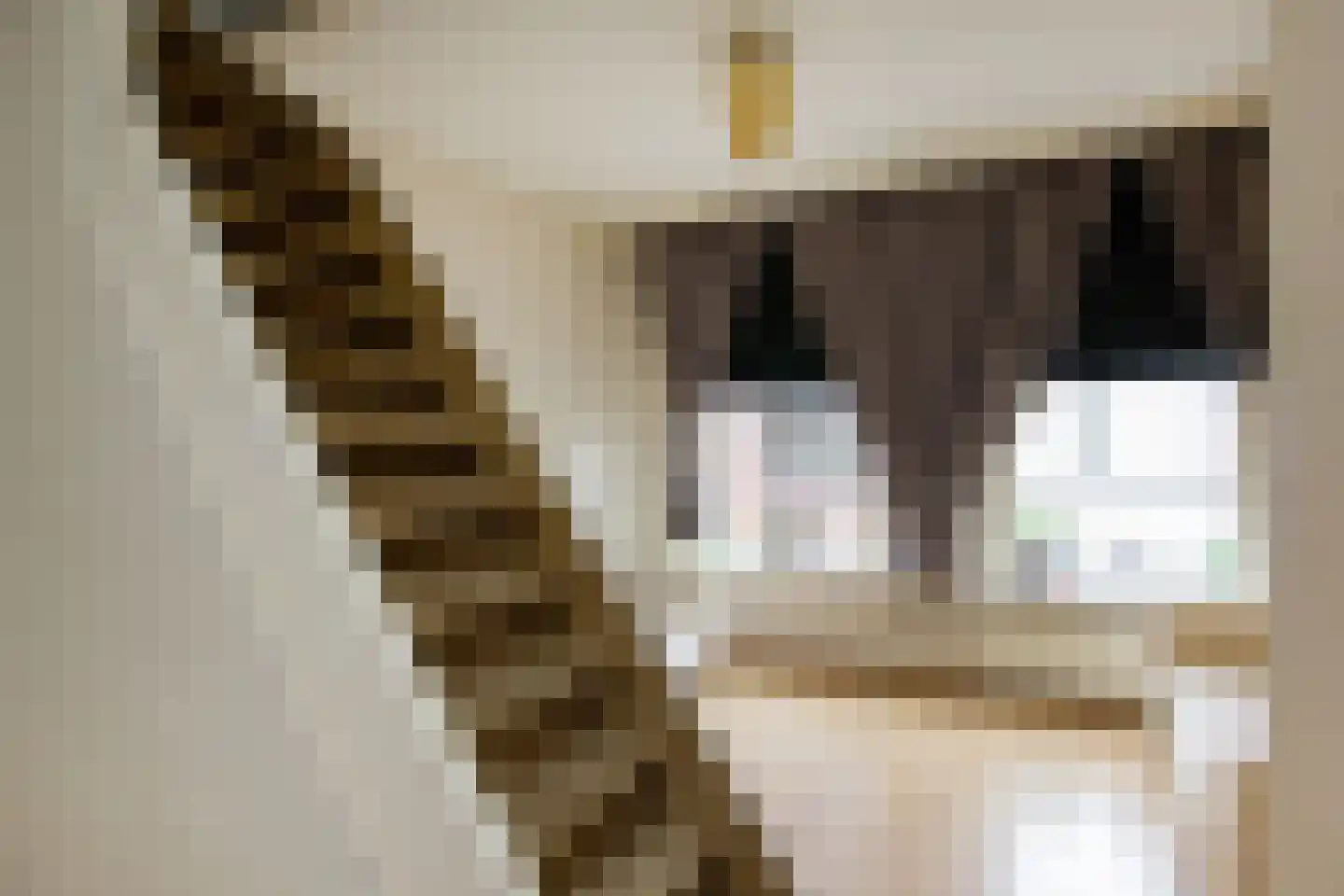 Korte Poellaan 6 Haarlem thumbnail 4