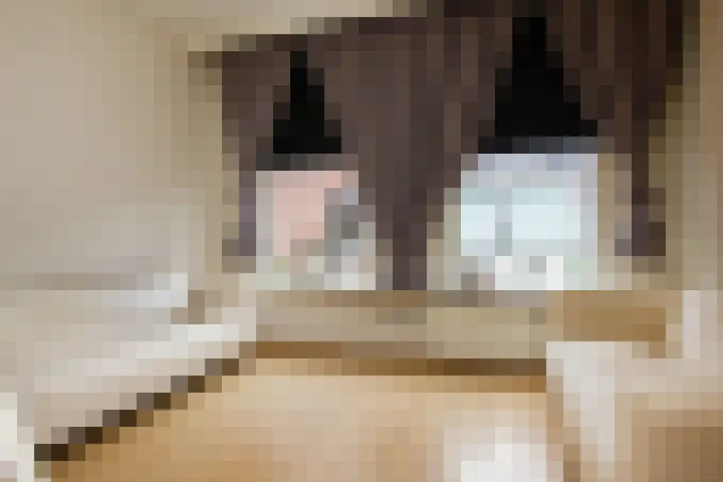 Korte Poellaan 6 Haarlem thumbnail 5